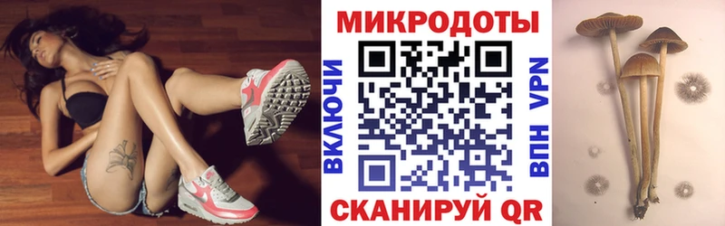 Псилоцибиновые грибы Psilocybe  Иннополис 